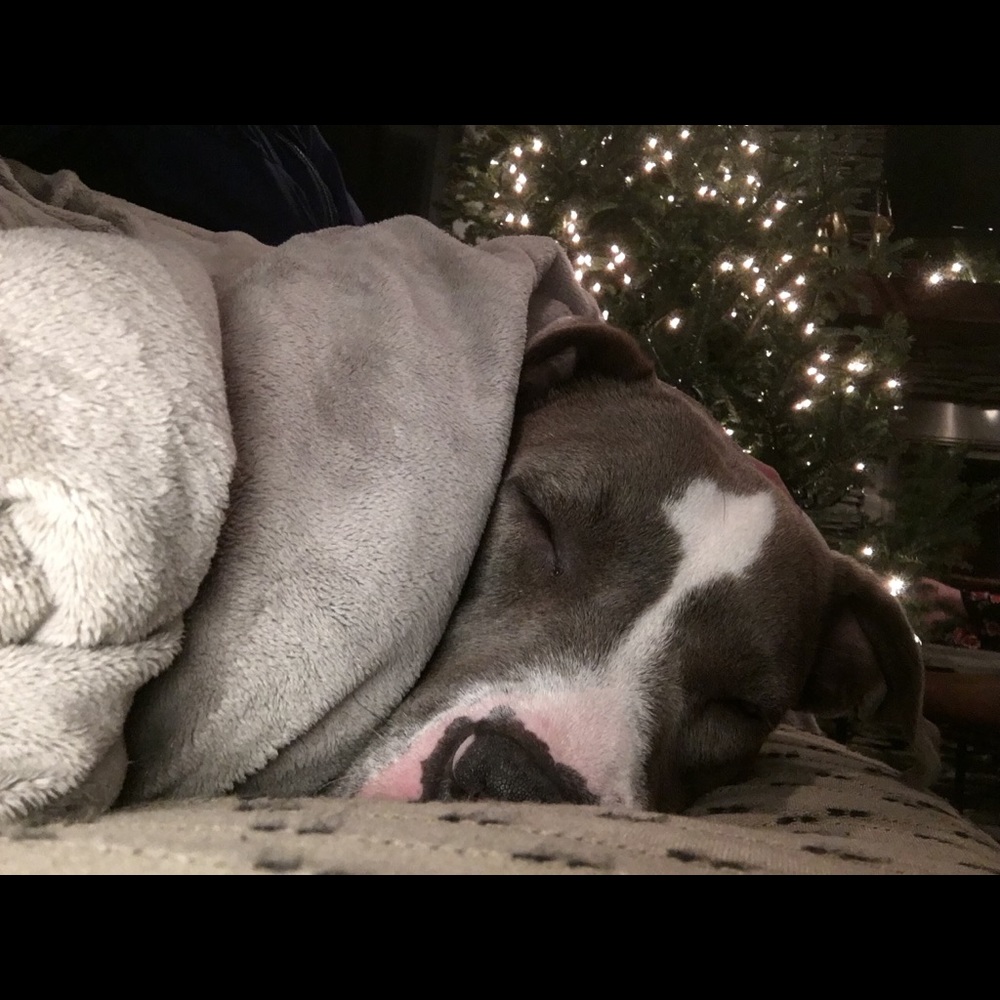 Meet your Posher, Lindsey